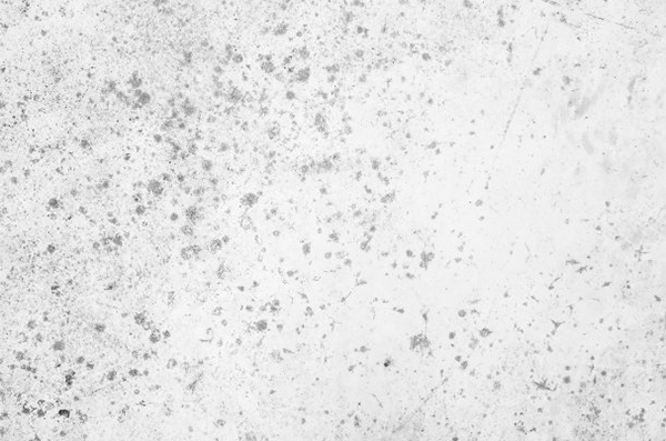 防霉涂料和防霉乳膠漆區別在哪?是不是一樣的?